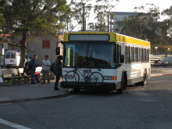 buses courtesy of wiki commons