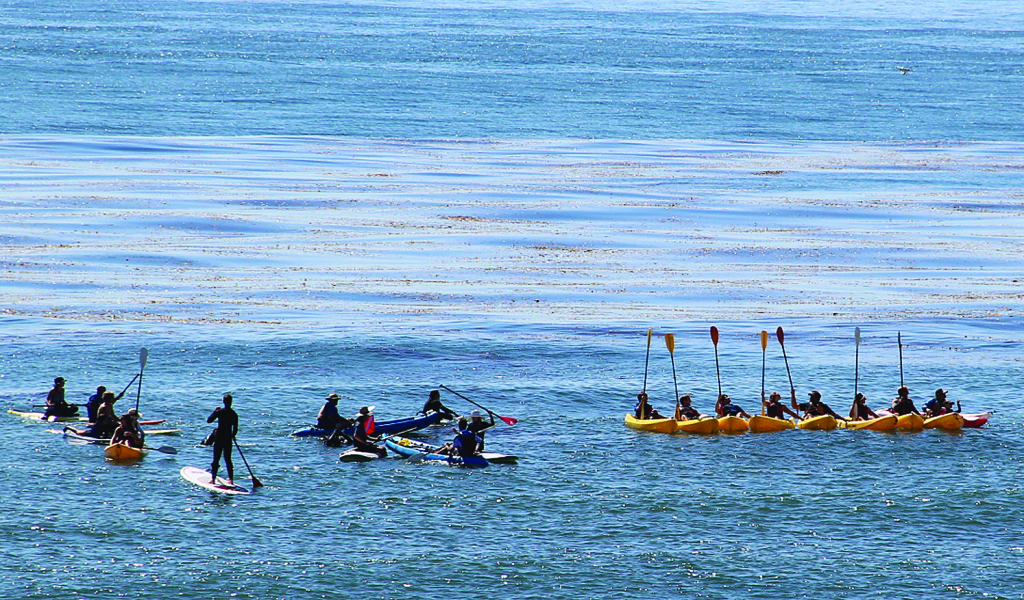 Participants in Santa Barbara Channelkeeper’s MPA Splash event celebrate the anniversary of Campus Point becoming a Marine Protected Area. The organization hopes to further educate students living near a MPA.