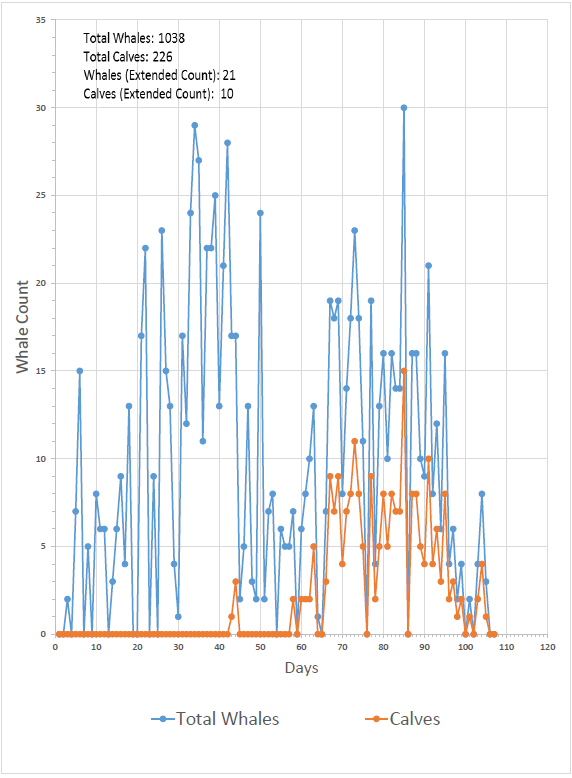 whaleinfograph-png