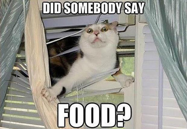 did-someone-say-food